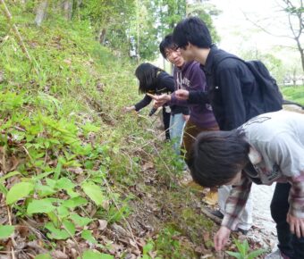 ワークショップ①種子の採取（長野大）