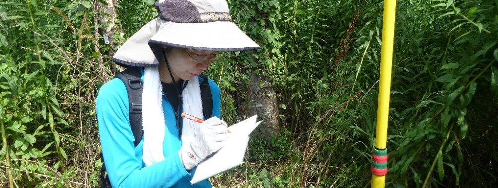 ワークショップ④種子採取地植生調査【山元町・防潮林】（長野大）第二弾