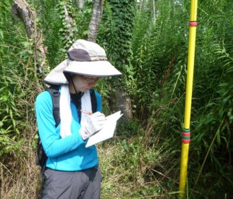 ワークショップ④種子採取地植生調査【山元町・防潮林】（長野大）第二弾