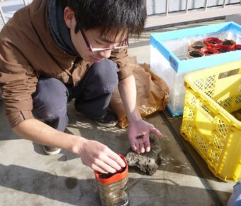 ワークショップ②種子の蒔き出し（長野大）