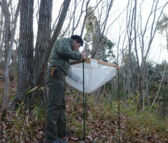 「深山山麓少年の森」のシードトラップのチェック