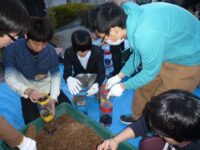 ワークショップ⑥苗木の植え替え（長野大）第一弾