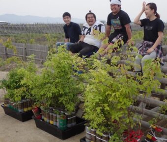 ワークショップ⑧植栽地の整備（植栽穴の整え、排水溝の掘削）、⑨苗木の植栽