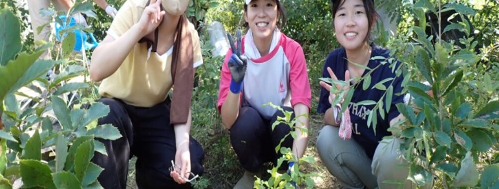 ワークショップ⑨苗木の植栽