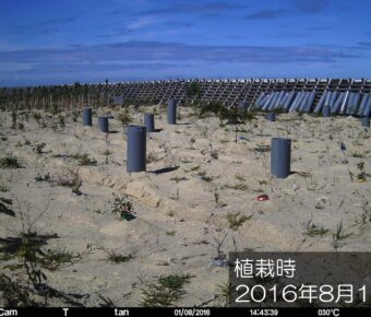 定点カメラで撮影された植栽地