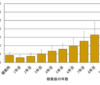 植栽後のコナラ苗木の生長モニタリング