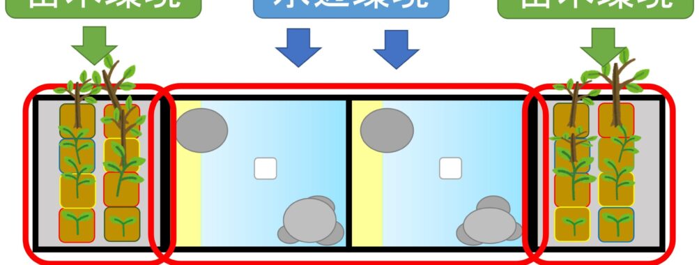 簡易ビオトープに関する学会発表