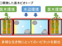 簡易ビオトープに関する学会発表