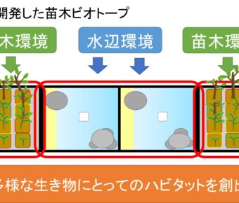 簡易ビオトープに関する学会発表