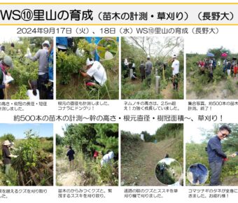 ワークショップ⑩里山の育成（苗木の計測・草刈り）