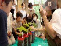 ワークショップ③芽生え観察会、⑥苗木の植え替え