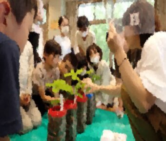 ワークショップ③芽生え観察会、⑥苗木の植え替え