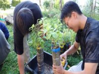 ワークショップ⑥苗木の植え替え