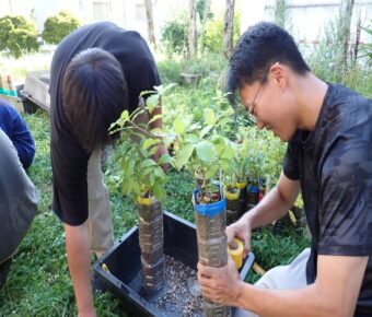 ワークショップ⑥苗木の植え替え