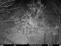 Dec 17 2024 21:34:20, #01
