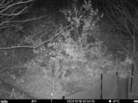 Dec 18 2024  0:34:20, #01