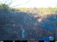 Dec 18 2024 15:34:20, #01