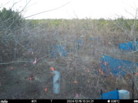 Dec 19 2024 15:34:21, #01