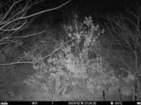 Dec 19 2024 21:34:20, #01