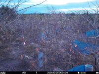 Dec 20 2024  6:34:20, #01