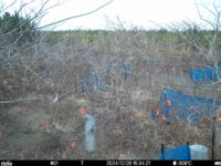 Dec 20 2024 15:34:21, #01