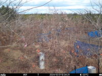 Dec 21 2024 12:34:21, #01