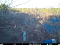 Dec 21 2024 15:34:20, #01