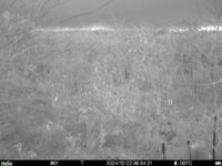 Dec 22 2024  6:34:21, #01