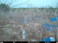 Dec 22 2024 12:34:21, #01