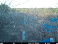 Dec 22 2024 15:34:21, #01