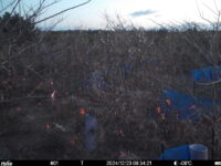 Dec 23 2024  6:34:21, #01