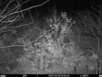 Dec 24 2024  0:34:20, #01