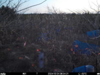 Dec 24 2024  6:34:21, #01