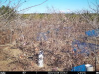 Dec 24 2024 12:34:21, #01
