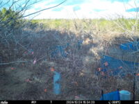 Dec 24 2024 15:34:20, #01