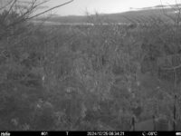 Dec 25 2024  6:34:21, #01