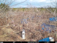 Dec 25 2024 12:34:21, #01
