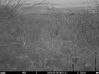 Dec 26 2024  6:34:21, #01