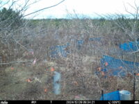 Dec 26 2024  9:34:21, #01