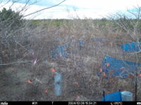 Dec 26 2024 15:34:21, #01