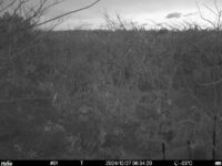Dec 27 2024  6:34:20, #01