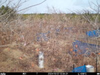 Dec 27 2024 12:34:21, #01