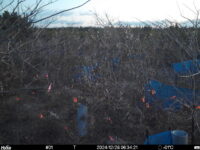 Dec 28 2024  6:34:21, #01
