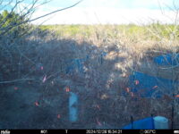 Dec 28 2024 15:34:21, #01