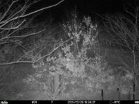 Dec 28 2024 18:34:21, #01