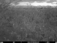 Dec 29 2024  6:34:21, #01