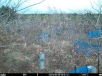Dec 29 2024  9:34:21, #01