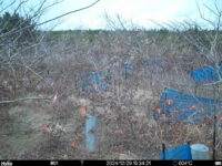 Dec 29 2024 15:34:21, #01