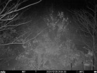 Dec 29 2024 21:34:20, #01