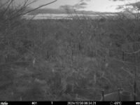 Dec 30 2024  6:34:21, #01